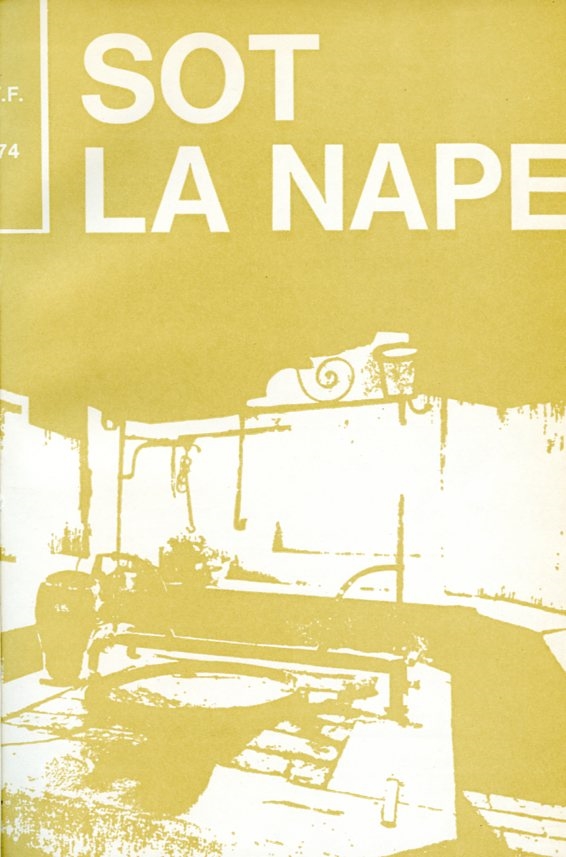 Miniatura copertina