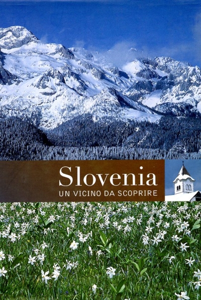Miniatura copertina
