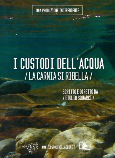 Copertina  I custodi dell'acqua : la Carnia si ribella [Videoregistrazione]